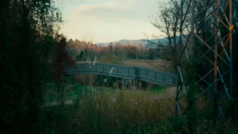 кадр из фильма Solo arrojaron