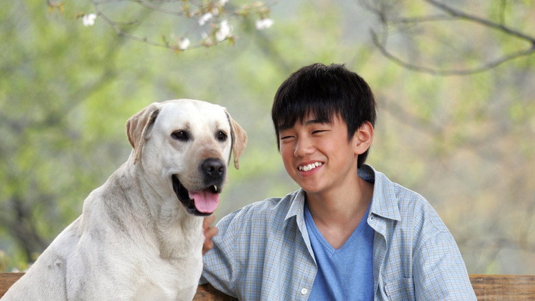 кадр из фильма 마음이...