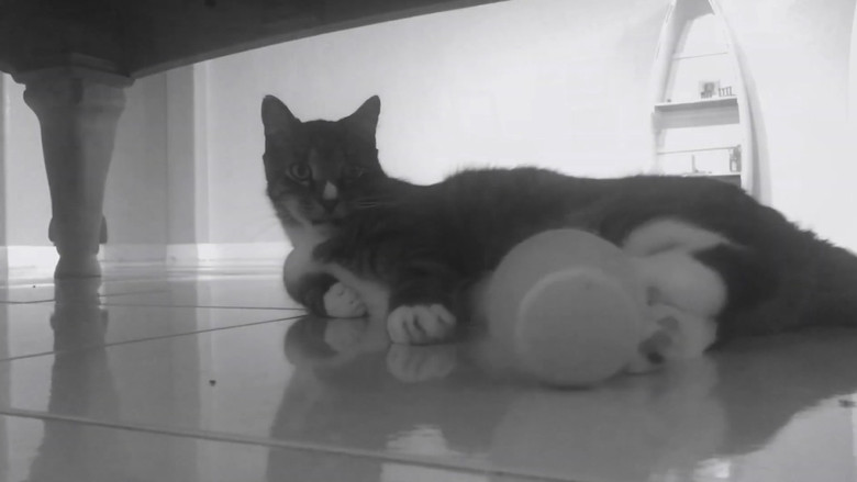 кадр из фильма Dark Tunnel Bluff