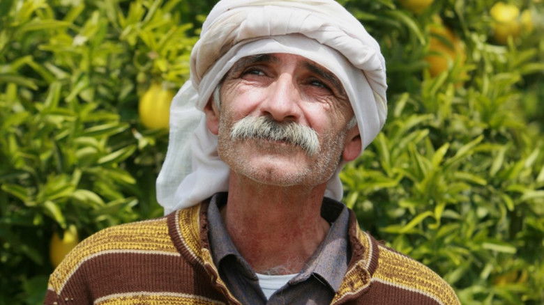 кадр из фильма עץ לימון