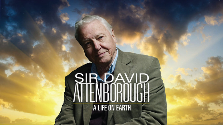 кадр из фильма Sir David Attenborough – A Life on Earth