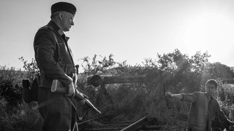 кадр из фильма Раскрашенная птица