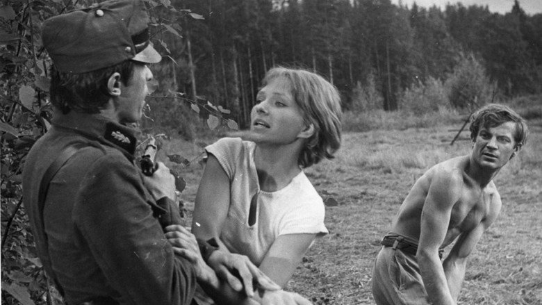 кадр из фильма Илга-Иволга