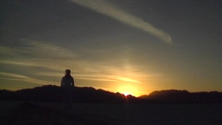 кадр из фильма Wax, or The Discovery of Television Among the Bees