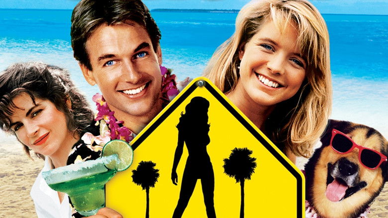 кадр из фильма Летняя школа