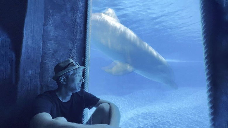 кадр из фильма Delphinariums game over ?