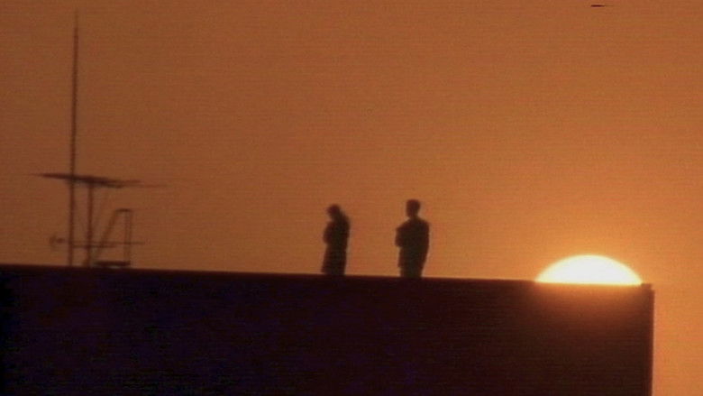 кадр из фильма ちぎれた愛の殺人