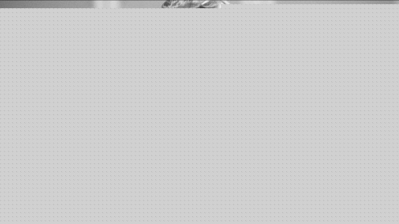 кадр из фильма Positive Gymnastik