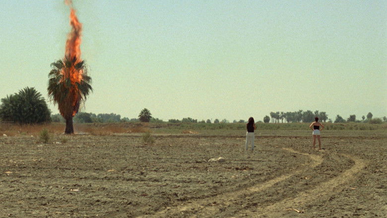 кадр из фильма Queen of Diamonds