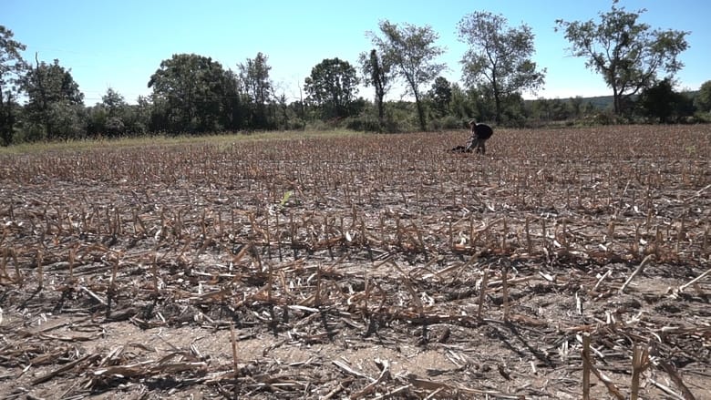 кадр из фильма Contrition