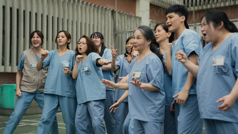 кадр из фильма 陽光女子合唱團