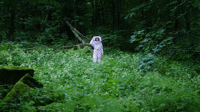 кадр из фильма Mehiläiskesä