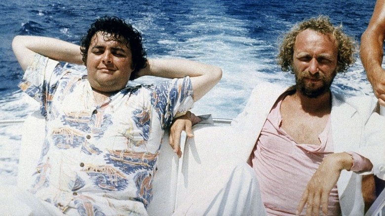 кадр из фильма Спасшиеся с острова Черепахи