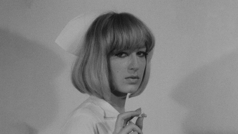 кадр из фильма It's Not Just You, Murray!