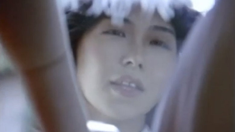 кадр из фильма 連続１５人花嫁犯し