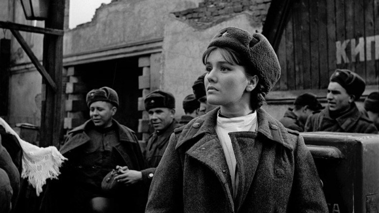 Поезд милосердия