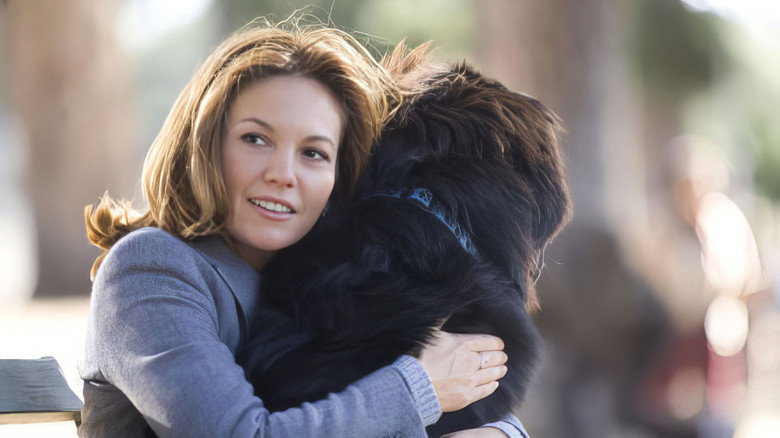 кадр из фильма Любовь к собакам обязательна