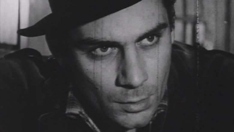 кадр из фильма Il taglio del bosco