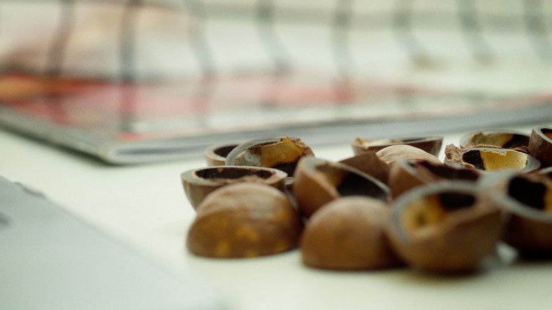 кадр из фильма MACADAMIA