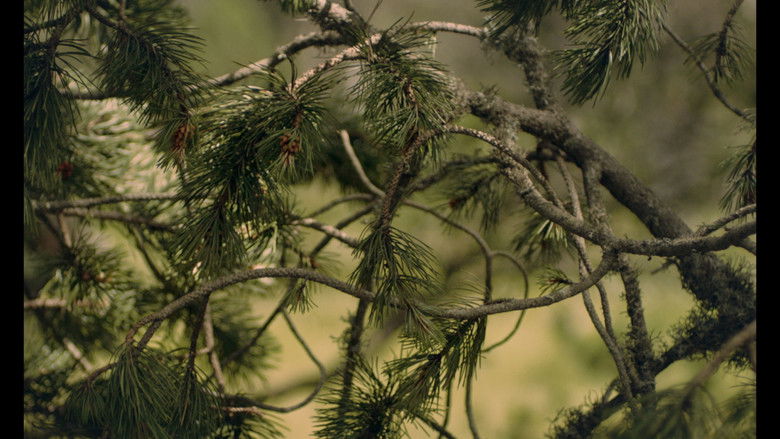 кадр из фильма Psylo