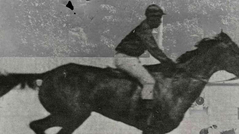 кадр из фильма Una película (secreta)