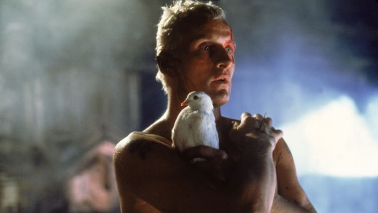 кадр из фильма Das Phänomen Blade Runner