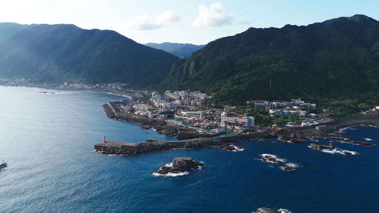 кадр из фильма 何以当归