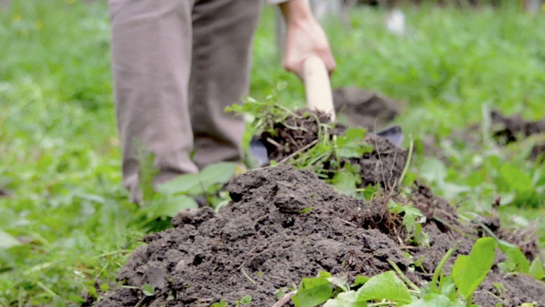 кадр из фильма Il Centro per i Giovani - volti, racconti ed esperienze sotto la mascherina