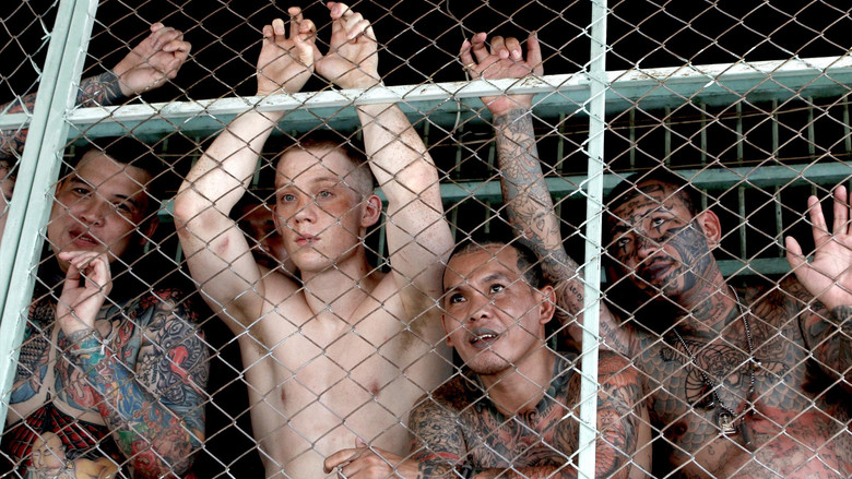 кадр из фильма Бои без правил