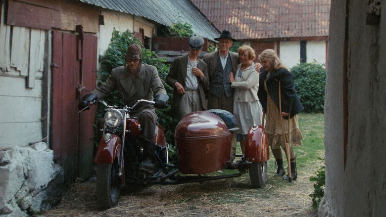 кадр из фильма Den enfaldige mördaren