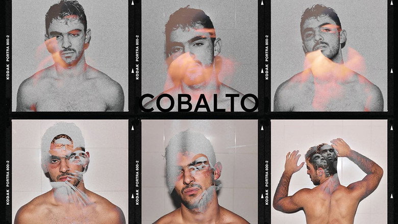 кадр из фильма Cobalto