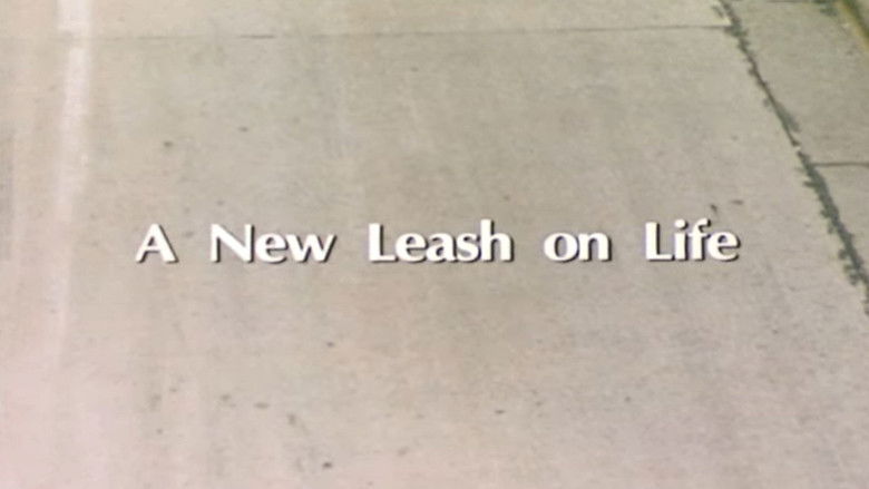 A New Leash On Life