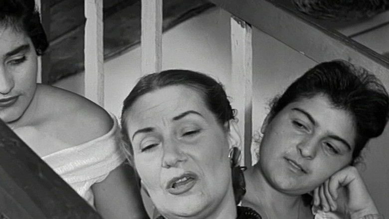 кадр из фильма Το Οργανάκι του Αττίκ