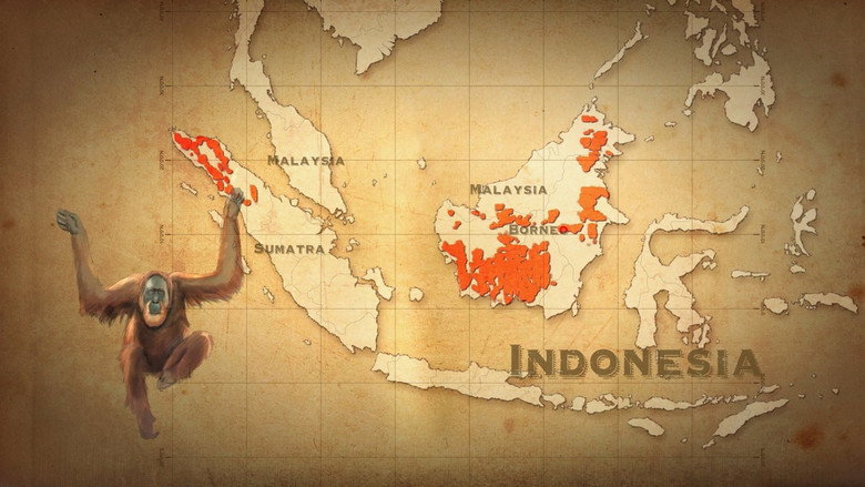 кадр из фильма Высшие приматы