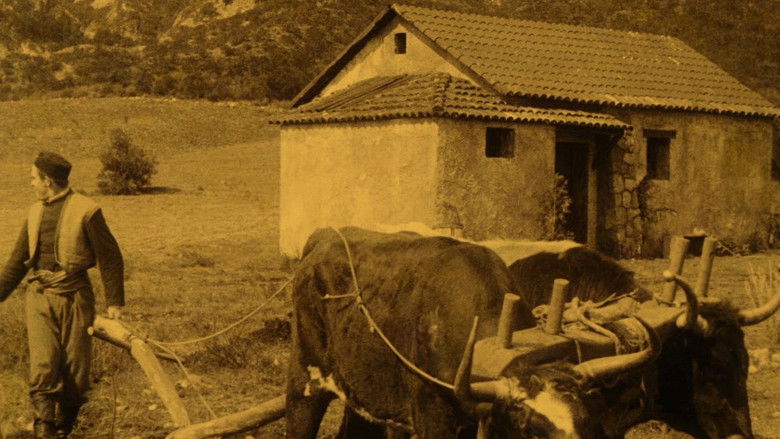 кадр из фильма The Captive