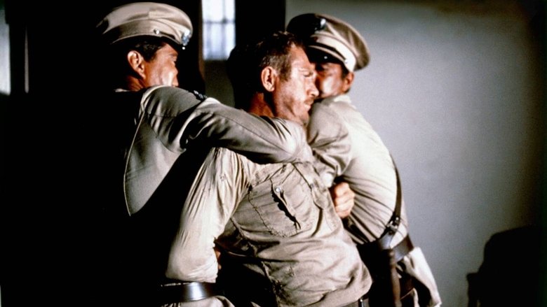 кадр из фильма Мотылёк