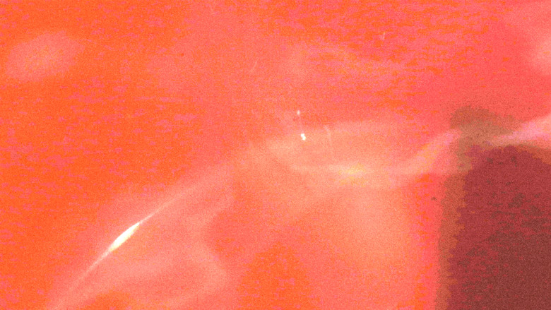 кадр из фильма Kova