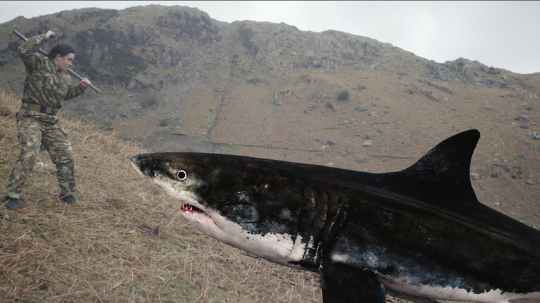 кадр из фильма Mountain Shark