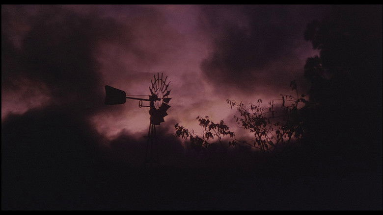 кадр из фильма 天国にいちばん近い島