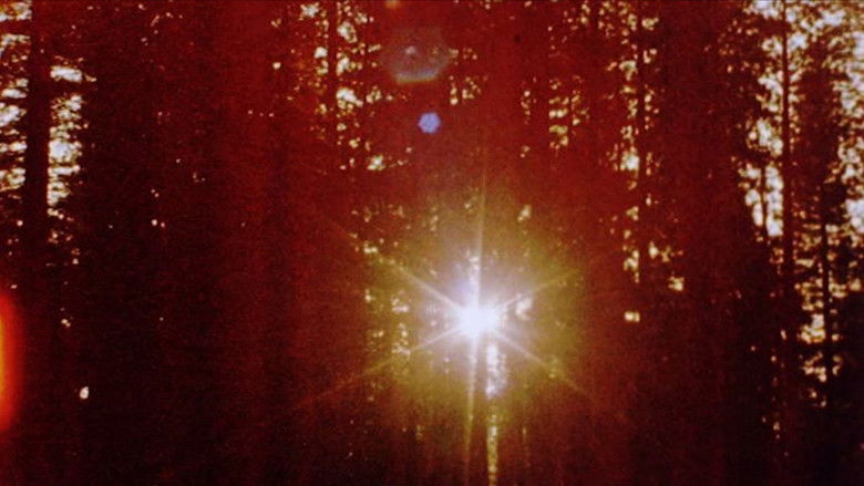 кадр из фильма Mancoon