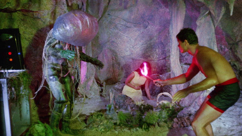 кадр из фильма Sting of Death