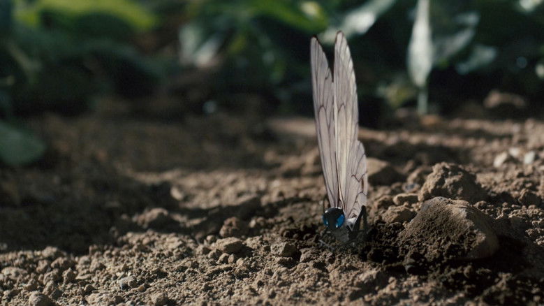 кадр из фильма 肩上蝶