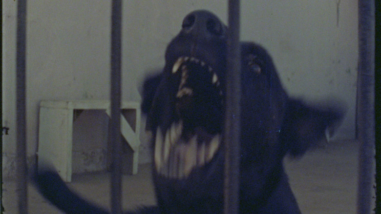 кадр из фильма Susurros del hormigón