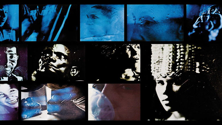 кадр из фильма Equivalências - Aprender Vivendo