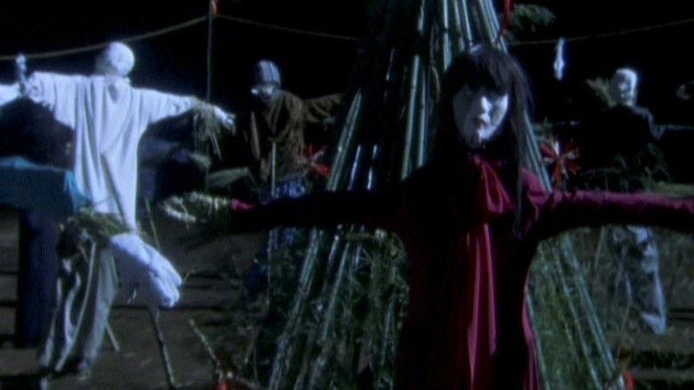 кадр из фильма 案山子