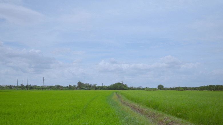 кадр из фильма Letters After Rain