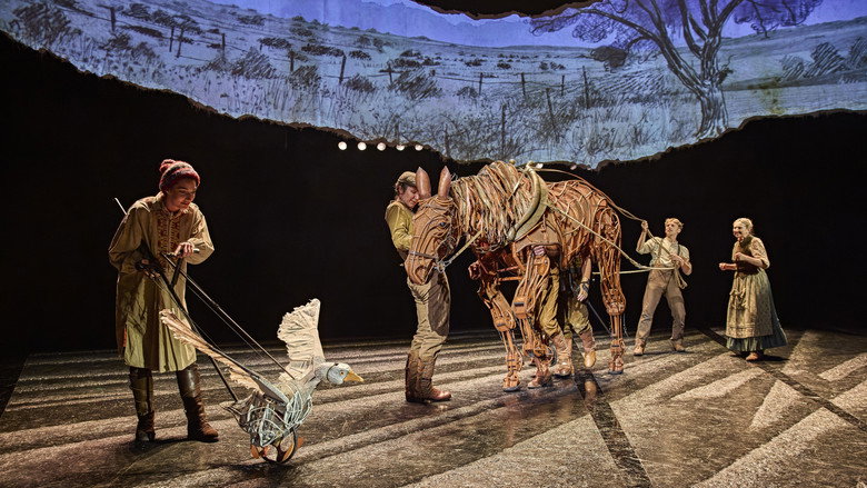 кадр из фильма National Theatre at Home: War Horse