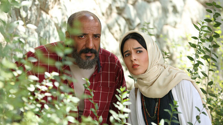 кадр из фильма سوفی و دیوانه