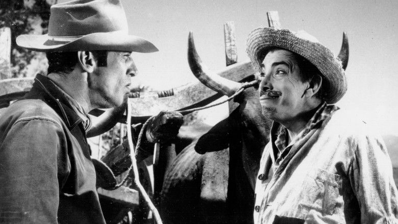 кадр из фильма Jéca Tatu