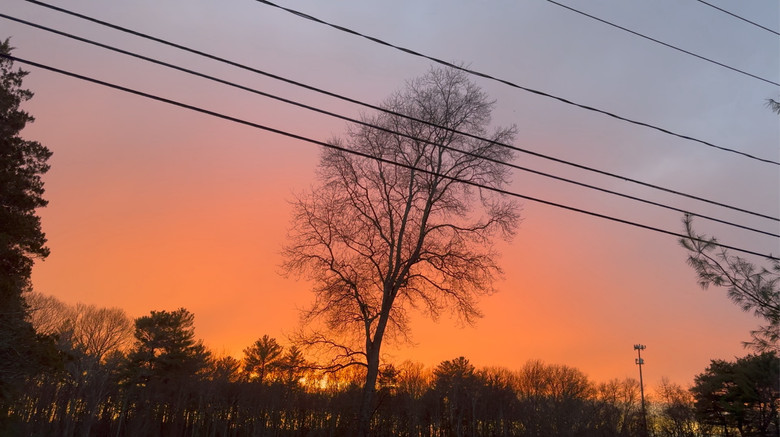 кадр из фильма A Fair Trade